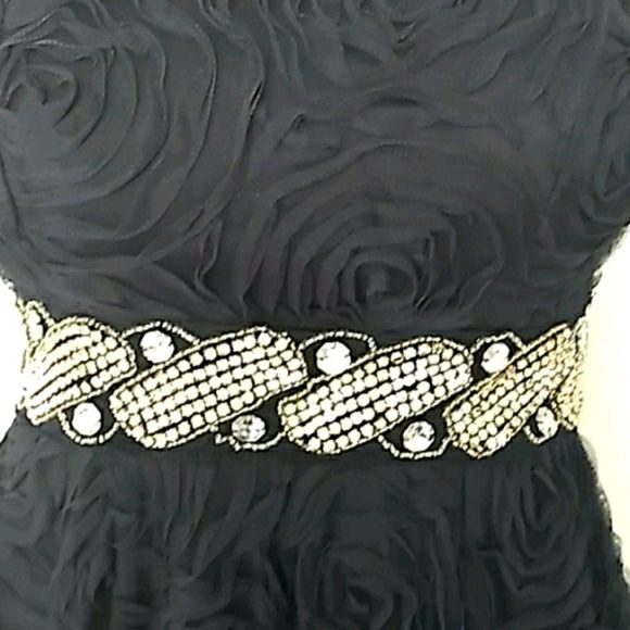 Trixxi Cocktail/Prom Dress. Size 1 - Picture 4 of 14